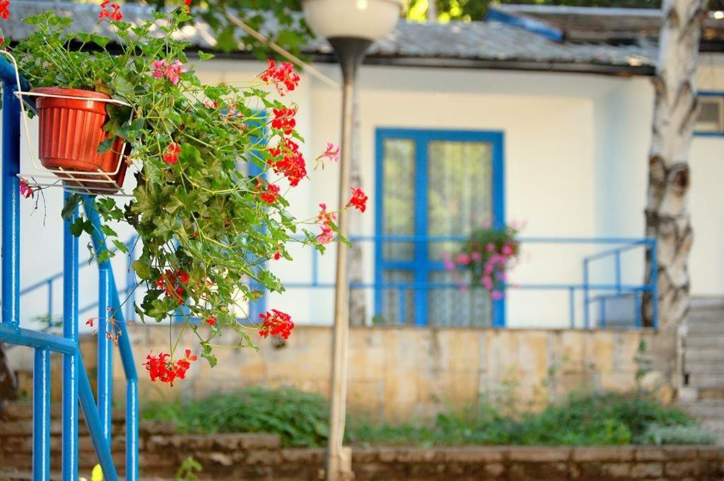 Комплекс Белите Къщи Shtarkelovo Gnezdo المظهر الخارجي الصورة