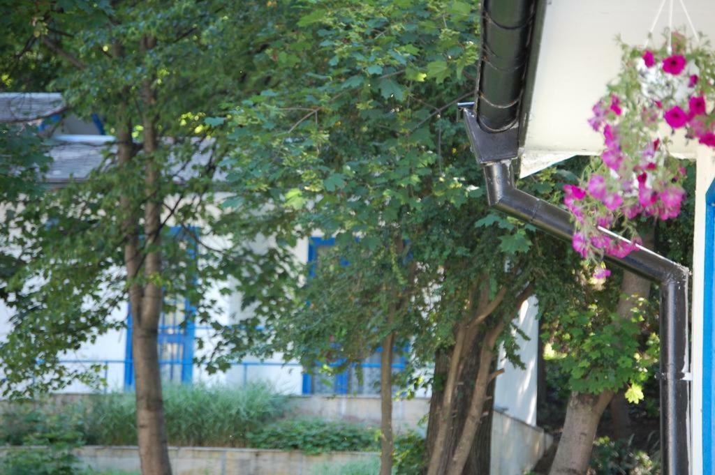 Комплекс Белите Къщи Shtarkelovo Gnezdo المظهر الخارجي الصورة